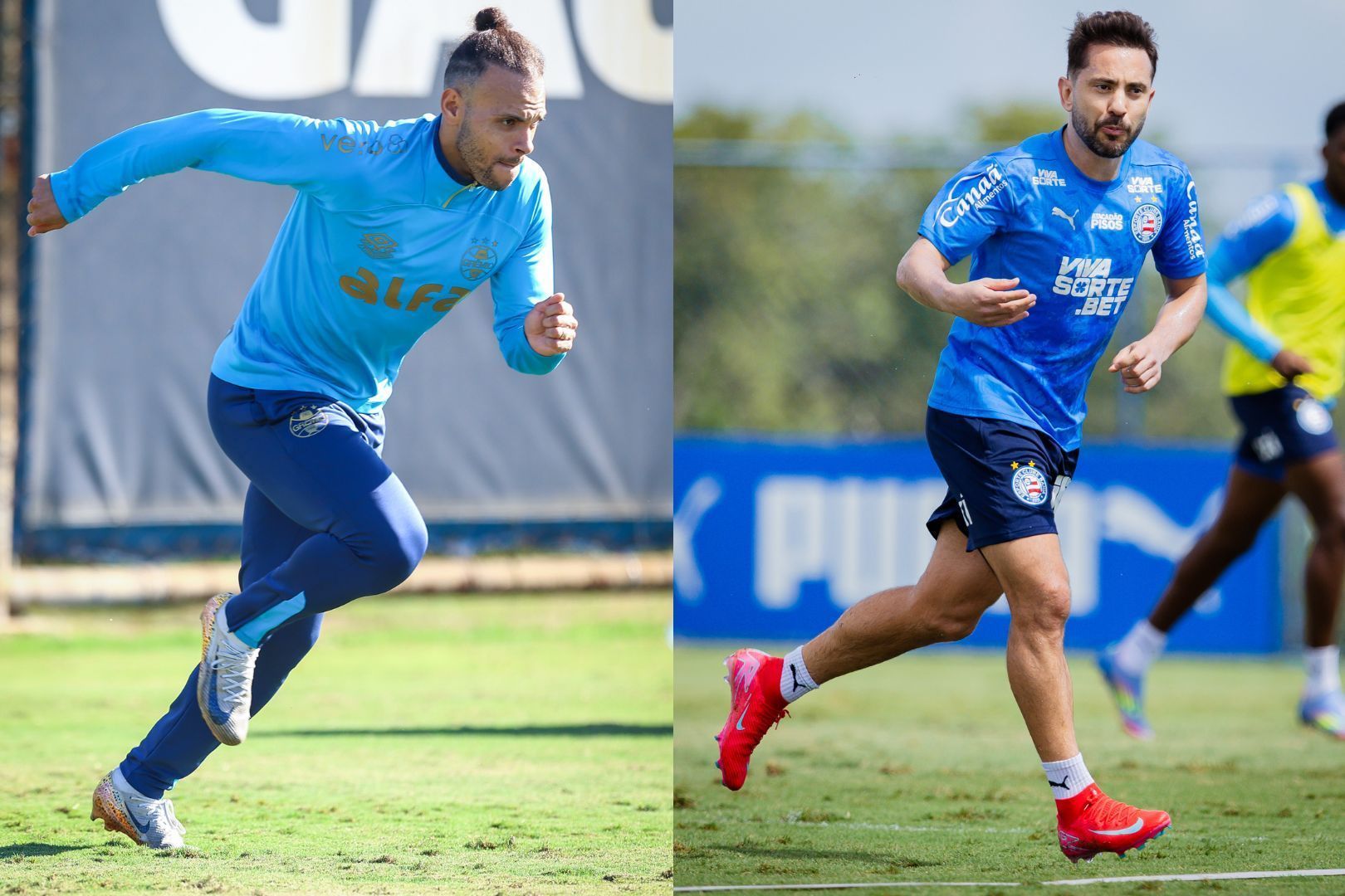Embate tricolor! Em momentos opostos, Grêmio e Bahia duelam pelo Brasileirão