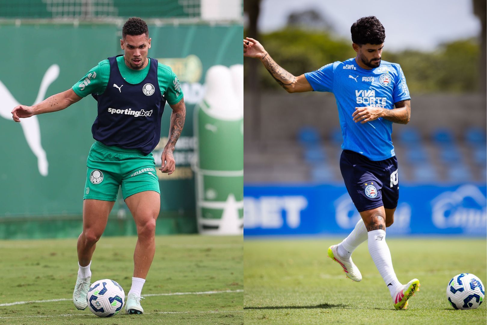 Líder Palmeiras recebe o Bahia, que tenta recuperação no Campeonato Brasileiro