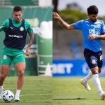 Líder Palmeiras recebe o Bahia, que tenta recuperação no Campeonato Brasileiro