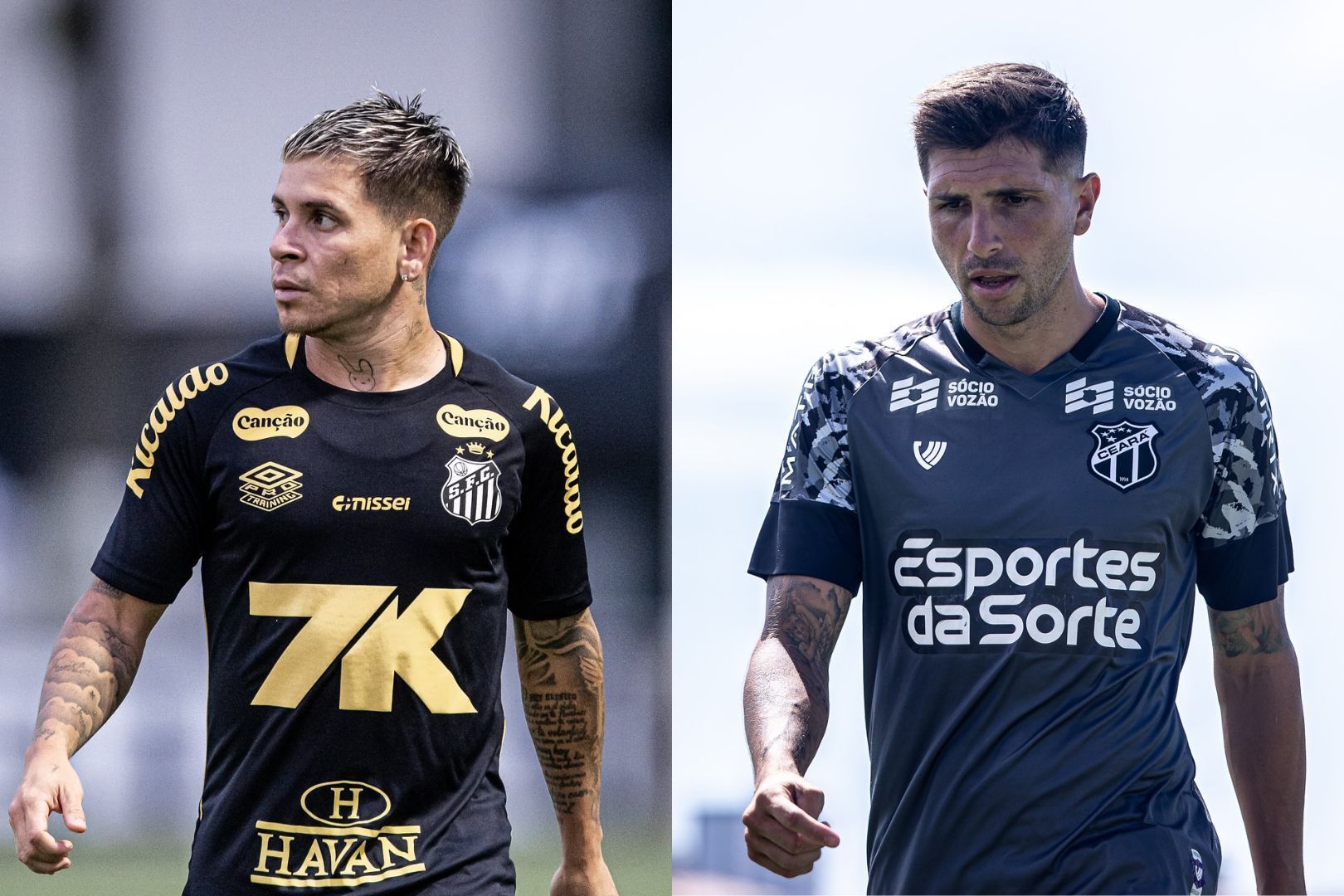 Vice-lanterna do Brasileirão, Santos recebe o Ceará no Allianz Parque