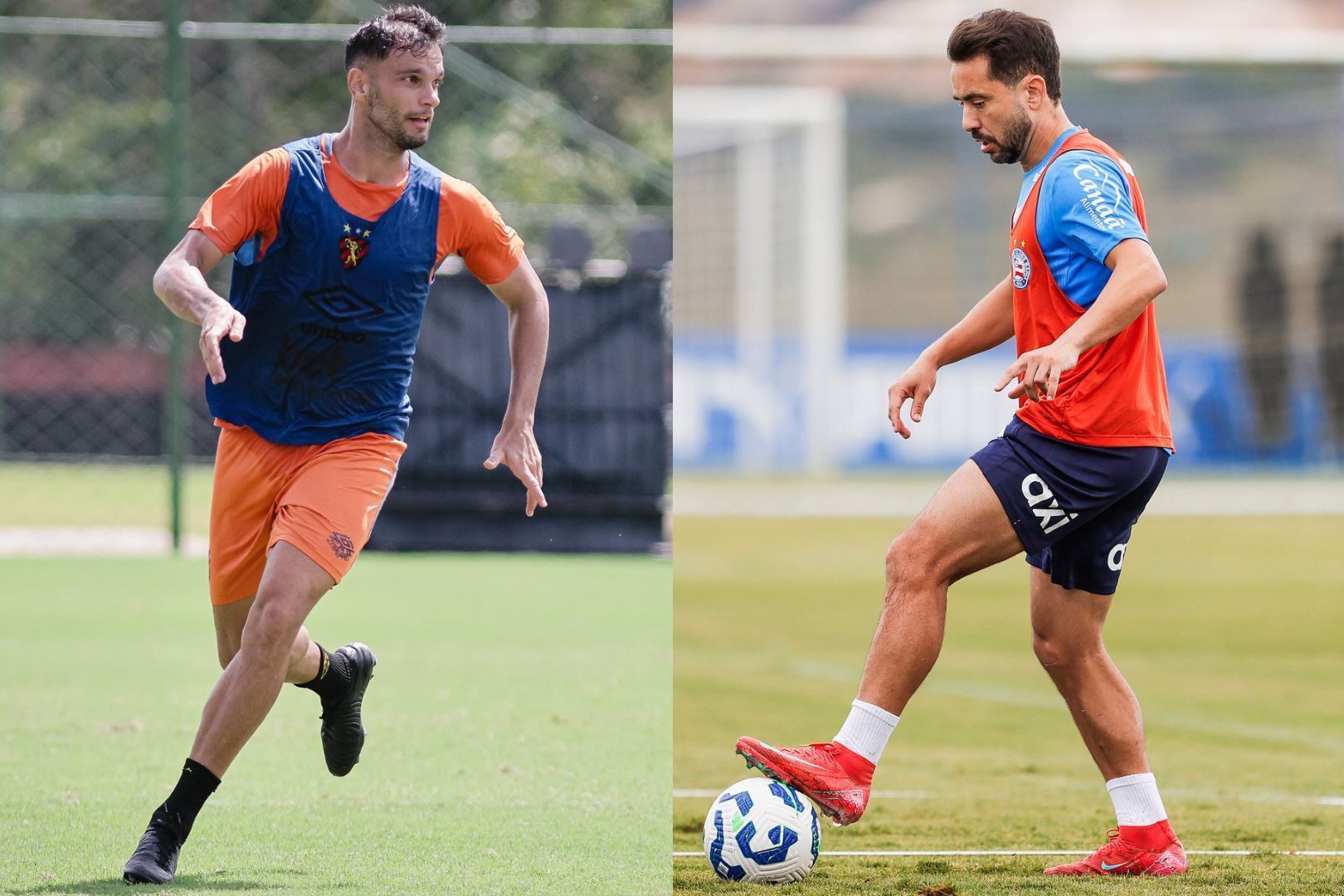 Clássico nordestino: Sport e Bahia abrem a 18ª rodada do Campeonato Brasileiro