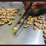 Força-tarefa combate fraudes em alimentos em São Paulo e no Distrito Federal