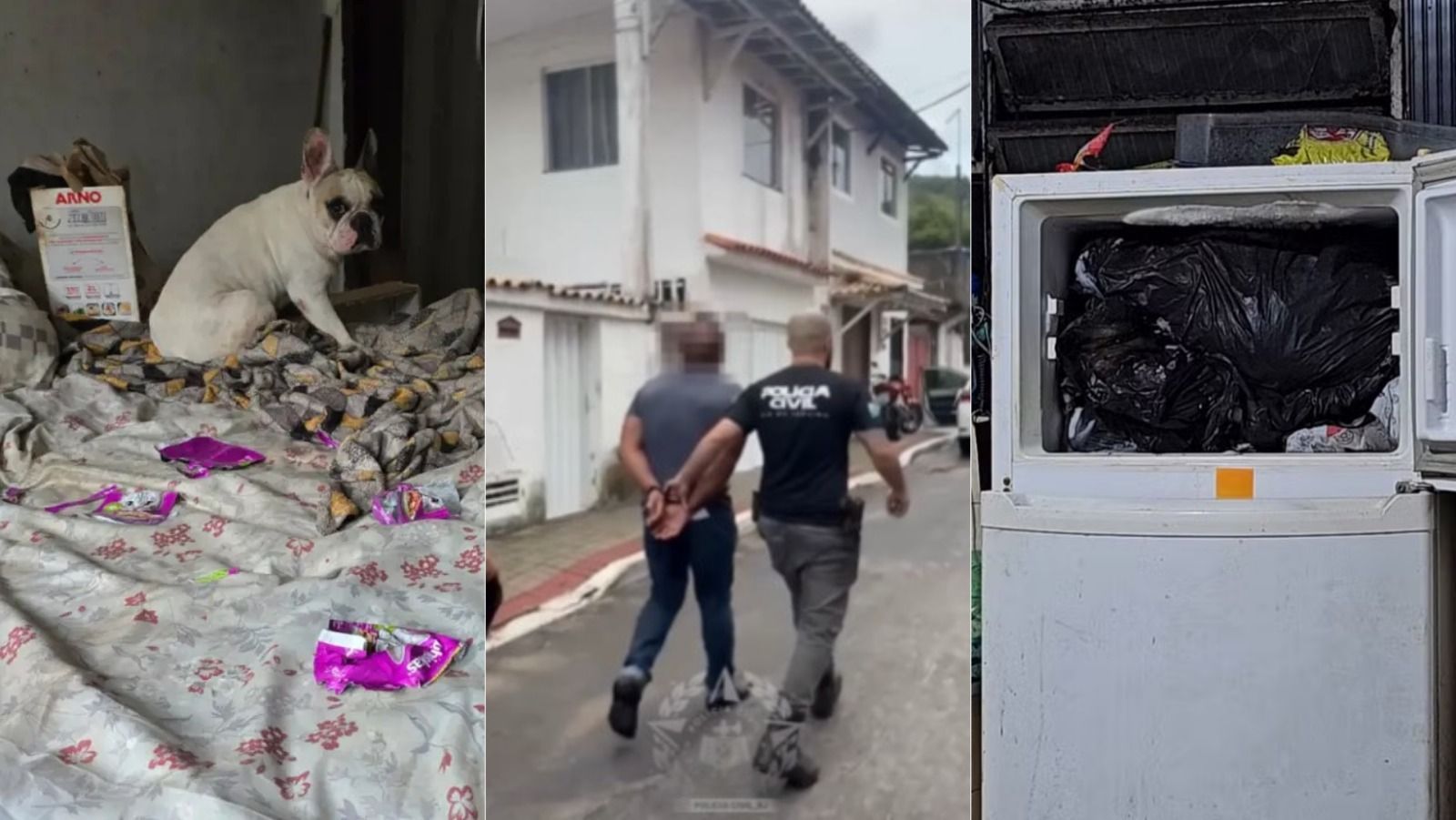 Médico é preso após congelar cachorros em freezer em Arraial do Cabo, no RJ