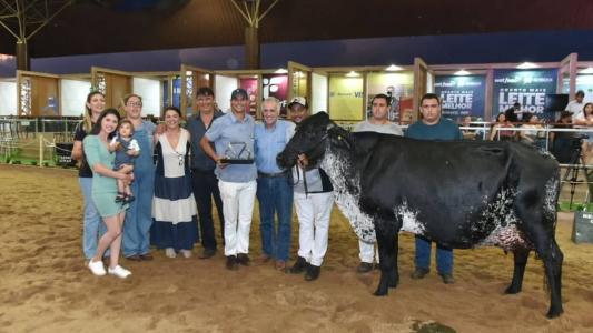 Dúvida Beemmer Fiv Genoma, da raça Gir Leiteiro, foi eleita a Vaca Suprema