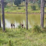 Corpo de mulher é achado amarrado a pedra em lagoa na Grande BH