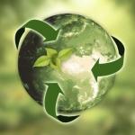 Ciro Dias Reis | Por que a economia verde está atraindo a comunidade de negócios