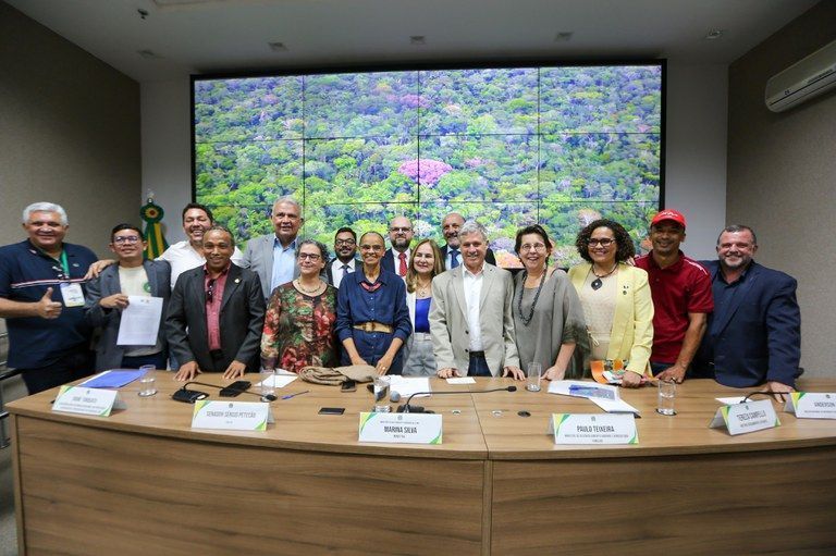 'Florestas Produtivas' distribuirá R$150 milhões para reflorestamento; saiba como participar