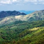 Oposição na ALMG tenta ampliar proteção ambiental em área já vetada por Zema