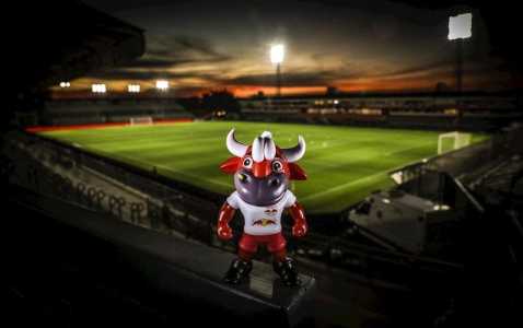 Mascote do Red Bull Bragantino no no Estádio Municipal Cícero de Souza Marques, em Bragança Paulista