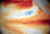 El Niño mais forte neste ano? Veja o que diz a meteorologia