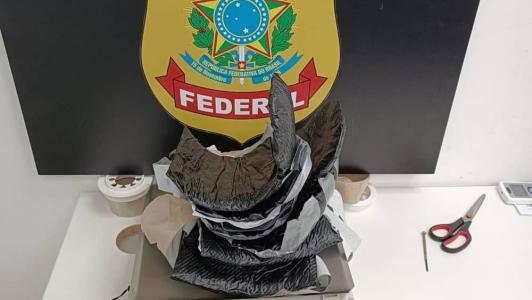 Ela responderá pelo crime de tráfico internacional