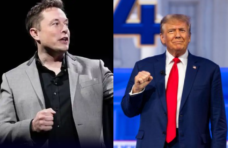 Elon Musk ligou para Donald Trump para pedir desculpas após desavenças públicas