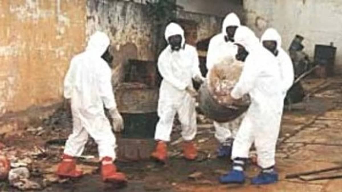 Cesio-137 furtado em Minas: lembre o desastre com material radioativo em 1987