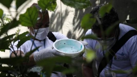 Em 2023, 37 casos de Zika foram notificados na capital