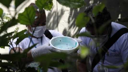Em 2023, 37 casos de Zika foram notificados na capital