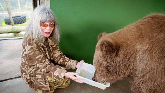 Em junho de 2019, Rita Lee alimenta a ursa Rowena, que inspirou seu último livro infantil, durante visita a santuário em São Paulo