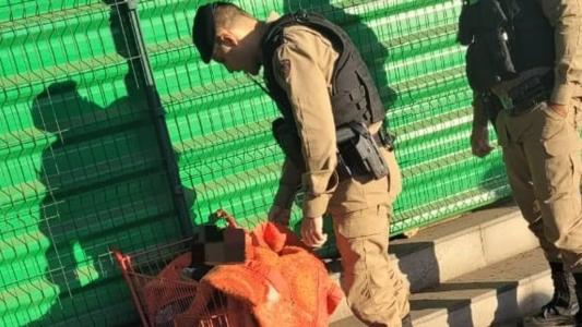 Em meio ao frio, menino estava envolto a um cobertor, dentro de um carrinho de supermercado