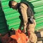 Adolescente encontrado dormindo em carrinho de supermercado foge do Conselho Tutelar de Contagem