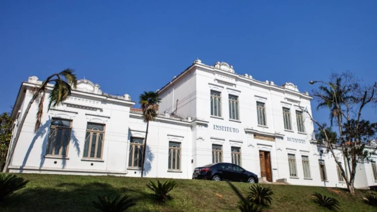 Instituto Butantan descobre molécula com potencial para combater superbactérias