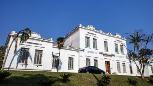Em testes feitos pelo Butantan, o novo composto combateu bactérias que já foram amplamente relatadas como microrganismos multirresistentes