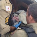 Vídeo: mãe dá à luz dentro de carro em Venda Nova ajudada por militares