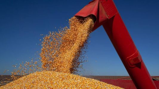 Embarques brasileiros de milho totalizaram mais de 2 milhões de toneladas