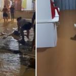 Vídeo: córrego transborda após chuva forte e água invade casas na Grande BH