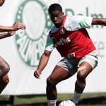 Endrick desabafa sobre críticas no Palmeiras