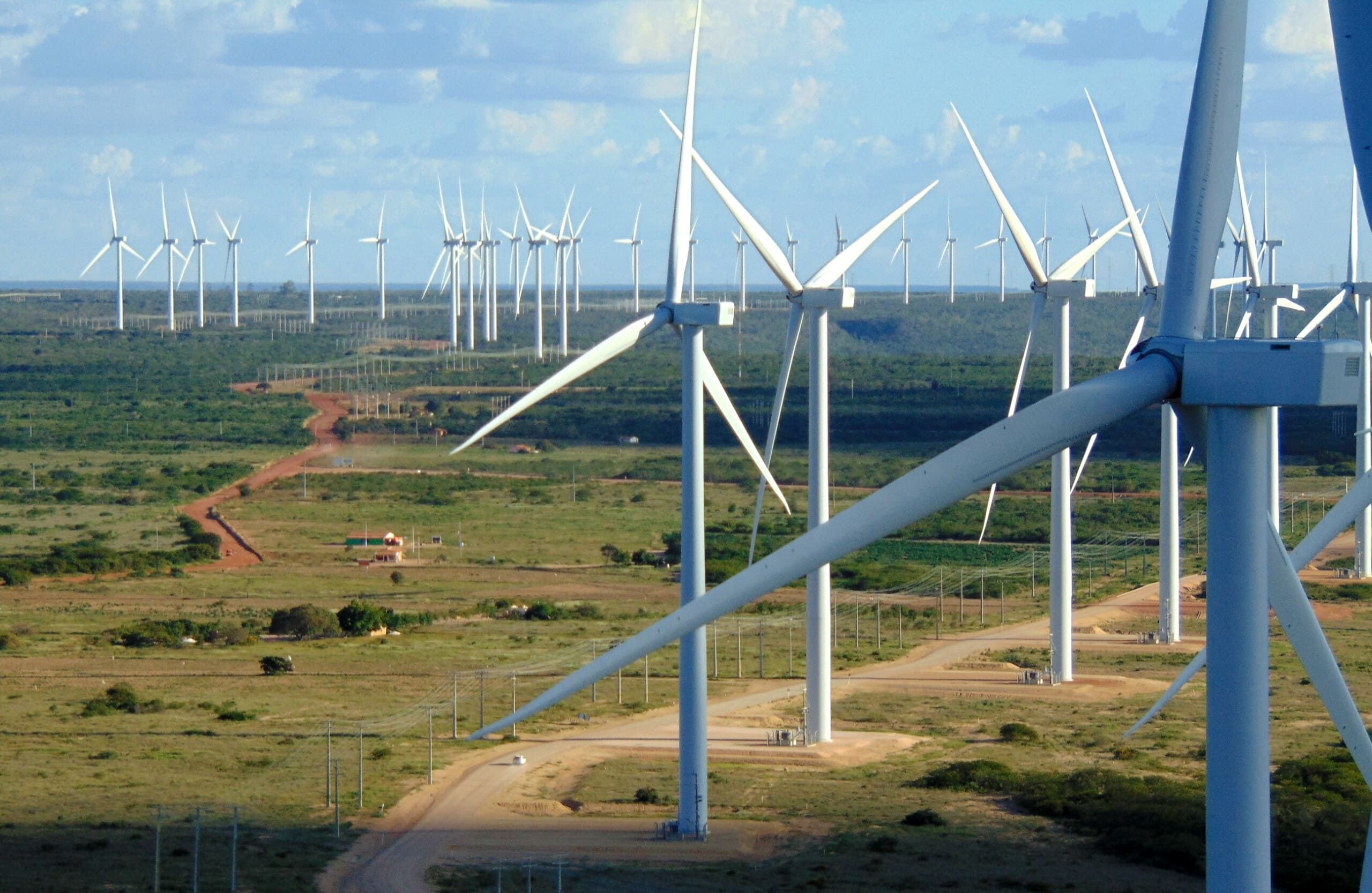 Eletricidade produzida pela força dos ventos: conheça a energia eólica