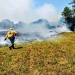As Ações de Litigância Climática