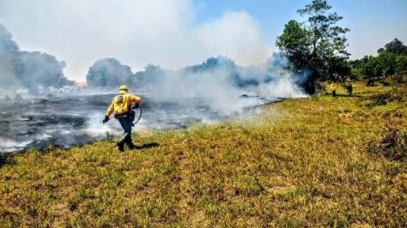 Entenda o que é Litigância Climática e seus impactos