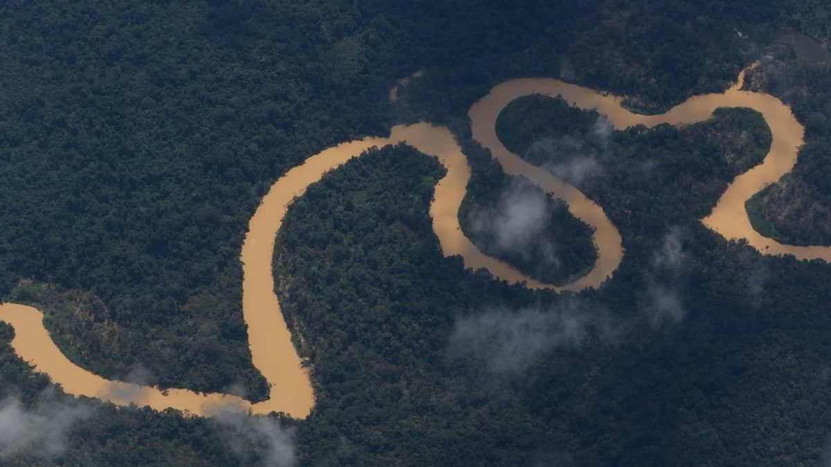 Conselho pede recomposição de comissão que acompanha crise yanomami