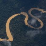 Conselho pede recomposição de comissão que acompanha crise yanomami