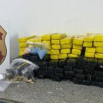 Dois homens são presos com drogas em operação da PF em SP 