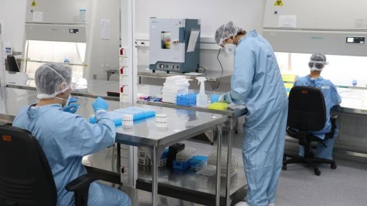 Entre as principais hipóteses que explicam esta queda está a falta de financiamento público na ciência brasileira