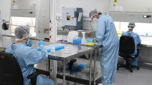 Entre as principais hipóteses que explicam esta queda está a falta de financiamento público na ciência brasileira