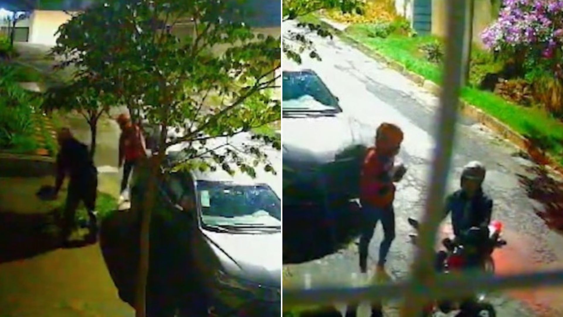 Vídeo: entregadores são suspeitos de furtar cachorrinha da raça Yorkshire em BH