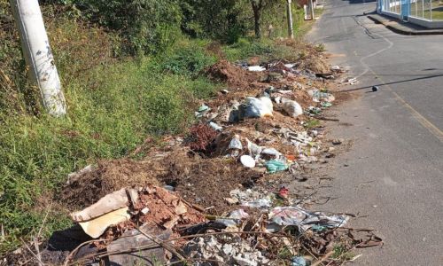 entulho e mato alto rua do vale bairro vale verde - Feliciano Castro