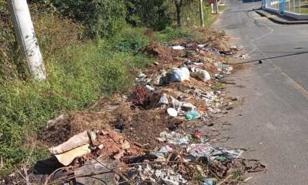 entulho e mato alto rua do vale bairro vale verde - Feliciano Castro
