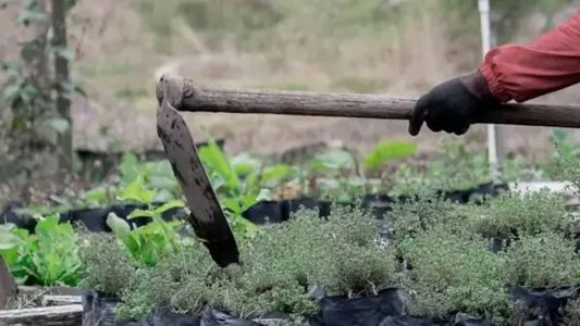 Enxada foi usada para agredir jovem de 20 anos em Ipatinga