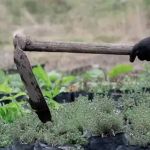 Jovem é agredido com enxada no bairro Ideal, em Ipatinga