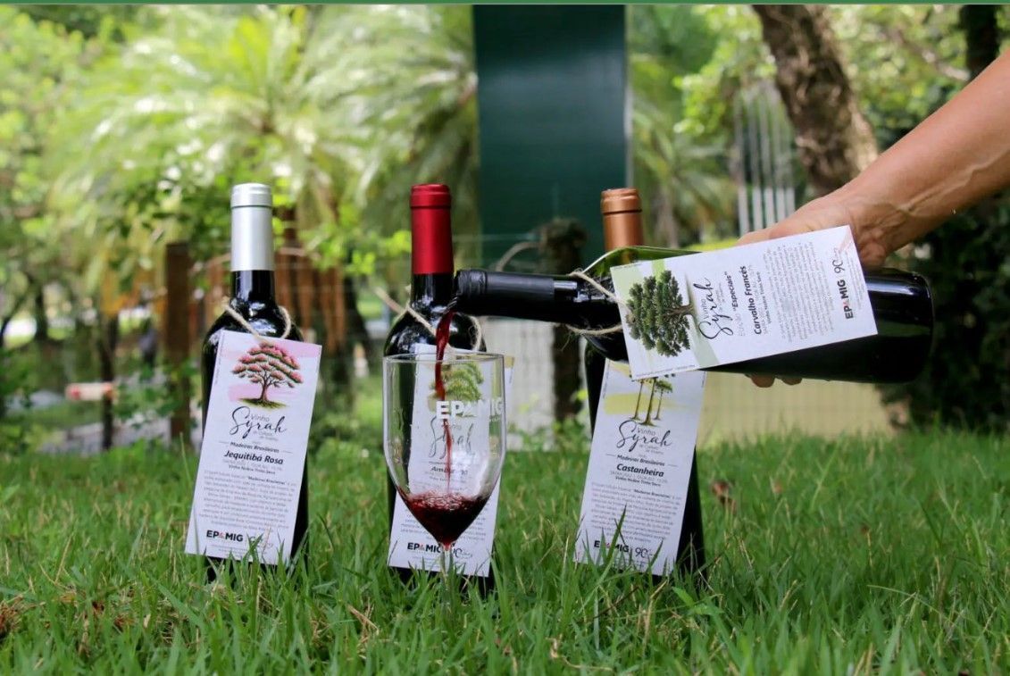 Valdir Barbosa | Produtores mineiros se preparam para concorrer com vinhos europeus