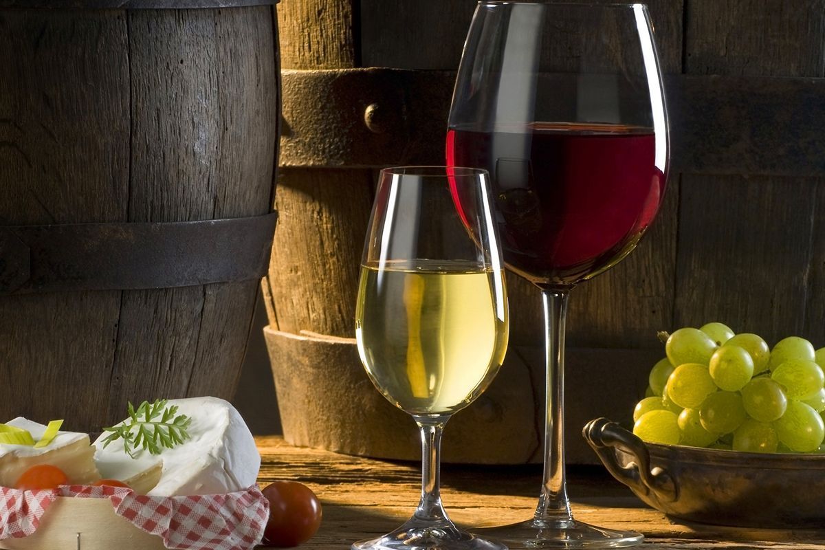 Campo das Vertentes investe na produção de vinhos finos; saiba o que os diferencia dos vinhos de mesa