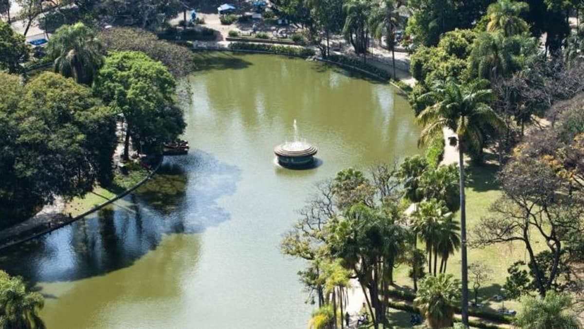 Mulher que comemorava Dia das Mães no Parque Municipal, no Centro de BH, denuncia ataque racista: 'pretos fedidos'