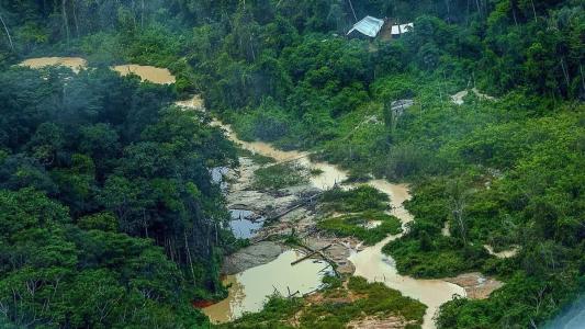 Equipe do governo federal visitou região dos povos Yanomami nesta segunda-feira (1)