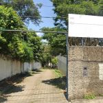 Funcionários denunciam infestação de ratos em escola de Betim, na Grande BH 