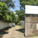 Funcionários denunciam infestação de ratos em escola de Betim, na Grande BH