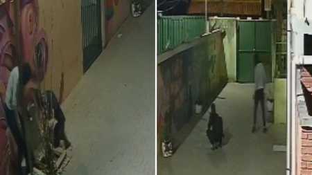 Imagens do circuito de segurança da Escola Estadual José Elias Issa, em São José da Lapa, mostram momento em que ladrões furtam os cabos