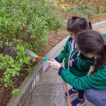 Projetos brasileiros sobre alimentação escolar são exemplo de boas práticas