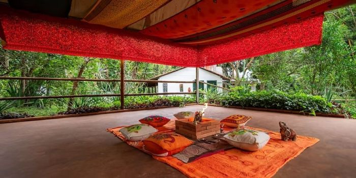 O espaço Viverde irá oferecer práticas de yoga cercadas pela natureza exuberante do local O espaço Viverde irá oferecer práticas de yoga cercadas pela natureza exuberante do local